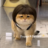 MeowStyle™ Cat Wig – Peluca Divertida para Gatos