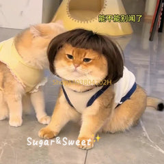 MeowStyle™ Cat Wig – Peluca Divertida para Gatos