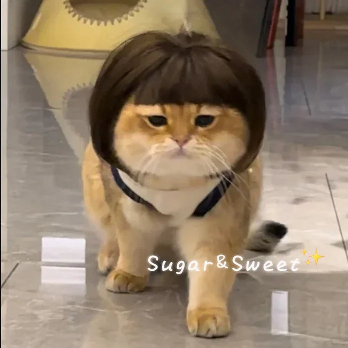 MeowStyle™ Cat Wig – Peluca Divertida para Gatos